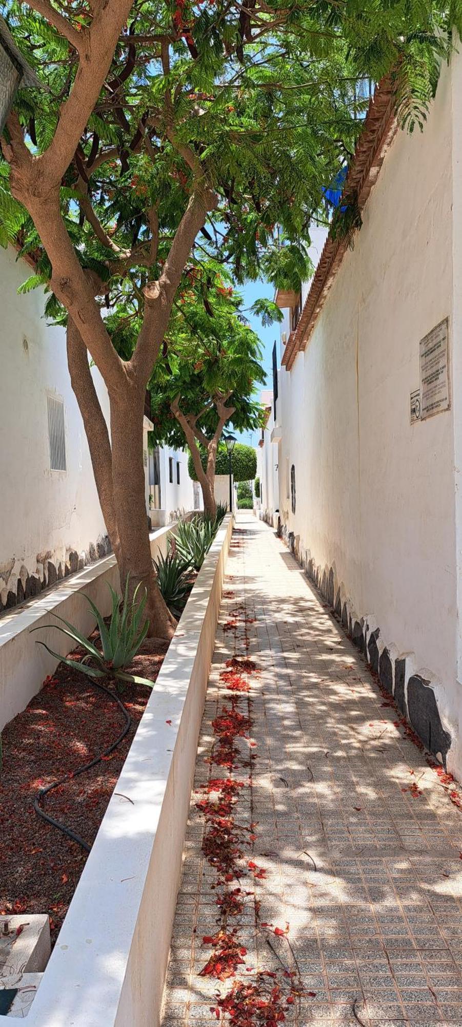 Apartamento Kassisaba Costa del Silencio Exterior foto